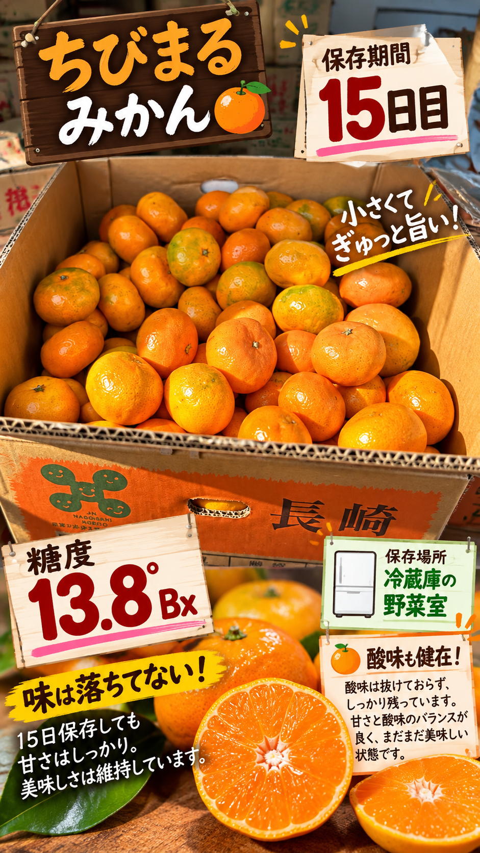 野菜室で15日保存した長崎県産ちびまるみかんと糖度13.8度の記録